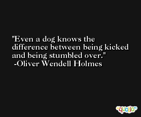 Even a dog knows the difference between being kicked and being stumbled over. -Oliver Wendell Holmes
