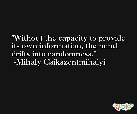 Without the capacity to provide its own information, the mind drifts into randomness. -Mihaly Csikszentmihalyi