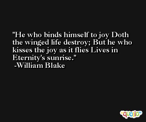 He who binds himself to joy Doth the winged life destroy; But he who kisses the joy as it flies Lives in Eternity's sunrise. -William Blake