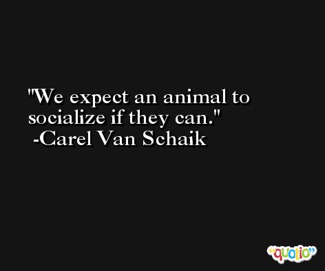 We expect an animal to socialize if they can. -Carel Van Schaik