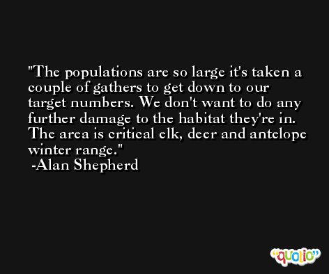 The populations are so large it's taken a couple of gathers to get down to our target numbers. We don't want to do any further damage to the habitat they're in. The area is critical elk, deer and antelope winter range. -Alan Shepherd