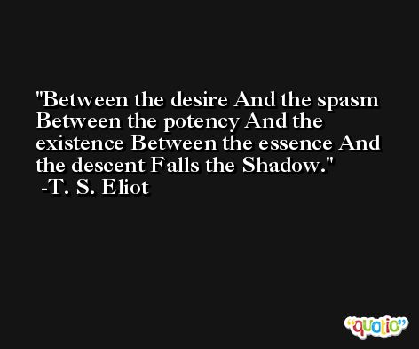 Between the desire And the spasm Between the potency And the existence Between the essence And the descent Falls the Shadow. -T. S. Eliot