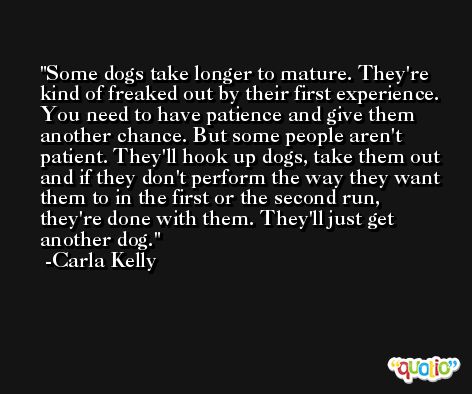 Some dogs take longer to mature. They're kind of freaked out by their first experience. You need to have patience and give them another chance. But some people aren't patient. They'll hook up dogs, take them out and if they don't perform the way they want them to in the first or the second run, they're done with them. They'll just get another dog. -Carla Kelly