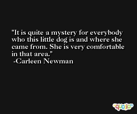 It is quite a mystery for everybody who this little dog is and where she came from. She is very comfortable in that area. -Carleen Newman