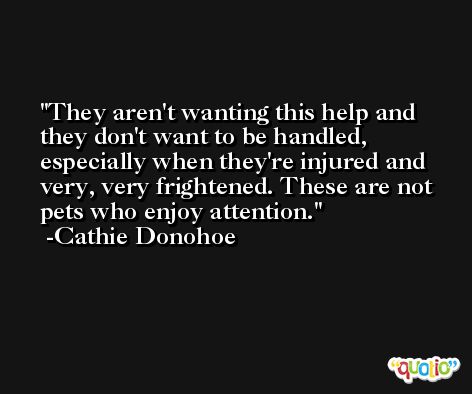 They aren't wanting this help and they don't want to be handled, especially when they're injured and very, very frightened. These are not pets who enjoy attention. -Cathie Donohoe