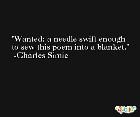 Wanted: a needle swift enough to sew this poem into a blanket. -Charles Simic