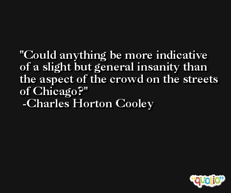 Could anything be more indicative of a slight but general insanity than the aspect of the crowd on the streets of Chicago? -Charles Horton Cooley