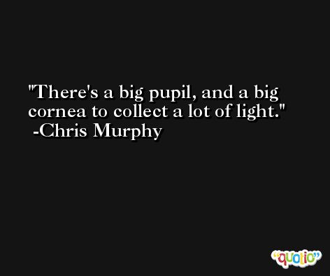 There's a big pupil, and a big cornea to collect a lot of light. -Chris Murphy
