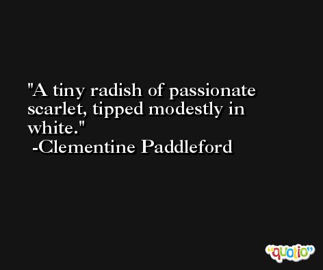 A tiny radish of passionate scarlet, tipped modestly in white. -Clementine Paddleford