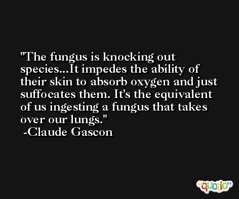 The fungus is knocking out species...It impedes the ability of their skin to absorb oxygen and just suffocates them. It's the equivalent of us ingesting a fungus that takes over our lungs. -Claude Gascon