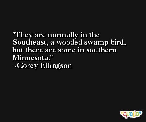 They are normally in the Southeast, a wooded swamp bird, but there are some in southern Minnesota. -Corey Ellingson