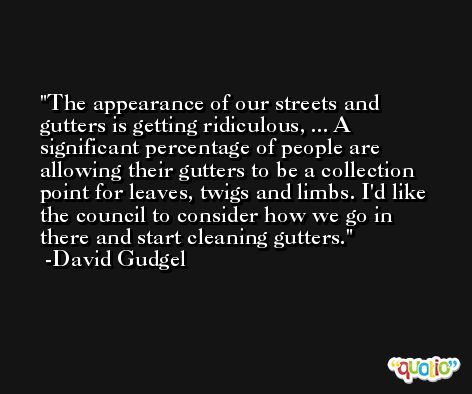 The appearance of our streets and gutters is getting ridiculous, ... A significant percentage of people are allowing their gutters to be a collection point for leaves, twigs and limbs. I'd like the council to consider how we go in there and start cleaning gutters. -David Gudgel