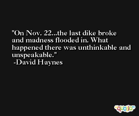 On Nov. 22...the last dike broke and madness flooded in. What happened there was unthinkable and unspeakable. -David Haynes