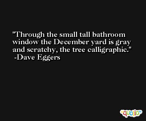 Through the small tall bathroom window the December yard is gray and scratchy, the tree calligraphic. -Dave Eggers