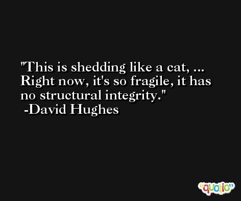 This is shedding like a cat, ... Right now, it's so fragile, it has no structural integrity. -David Hughes