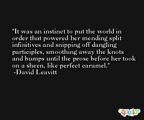 It was an instinct to put the world in order that powered her mending split infinitives and snipping off dangling participles, smoothing away the knots and bumps until the prose before her took on a sheen, like perfect caramel. -David Leavitt