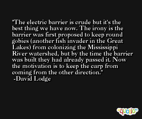 The electric barrier is crude but it's the best thing we have now. The irony is the barrier was first proposed to keep round gobies (another fish invader in the Great Lakes) from colonizing the Mississippi River watershed, but by the time the barrier was built they had already passed it. Now the motivation is to keep the carp from coming from the other direction. -David Lodge