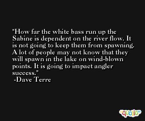 How far the white bass run up the Sabine is dependent on the river flow. It is not going to keep them from spawning. A lot of people may not know that they will spawn in the lake on wind-blown points. It is going to impact angler success. -Dave Terre