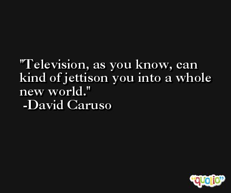 Television, as you know, can kind of jettison you into a whole new world. -David Caruso