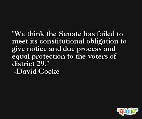 We think the Senate has failed to meet its constitutional obligation to give notice and due process and equal protection to the voters of district 29. -David Cocke