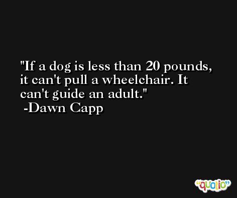 If a dog is less than 20 pounds, it can't pull a wheelchair. It can't guide an adult. -Dawn Capp