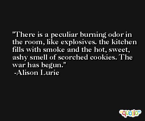 There is a peculiar burning odor in the room, like explosives. the kitchen fills with smoke and the hot, sweet, ashy smell of scorched cookies. The war has begun. -Alison Lurie