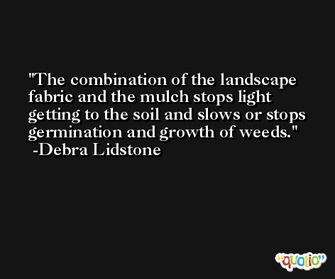The combination of the landscape fabric and the mulch stops light getting to the soil and slows or stops germination and growth of weeds. -Debra Lidstone