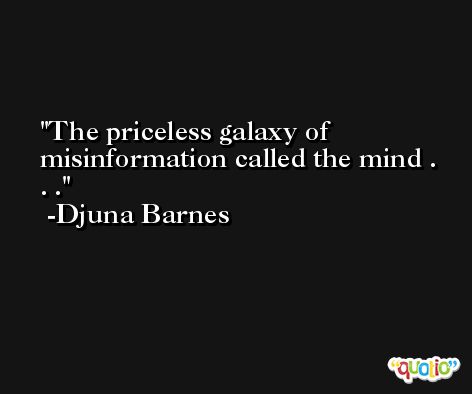 The priceless galaxy of misinformation called the mind . . . -Djuna Barnes