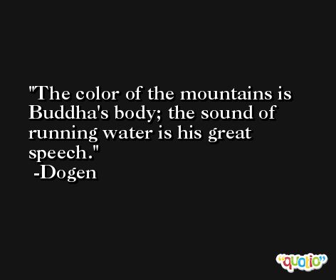 The color of the mountains is Buddha's body; the sound of running water is his great speech. -Dogen