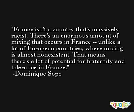 France isn't a country that's massively racist. There's an enormous amount of mixing that occurs in France -- unlike a lot of European countries, where mixing is almost nonexistent. That means there's a lot of potential for fraternity and tolerance in France. -Dominique Sopo