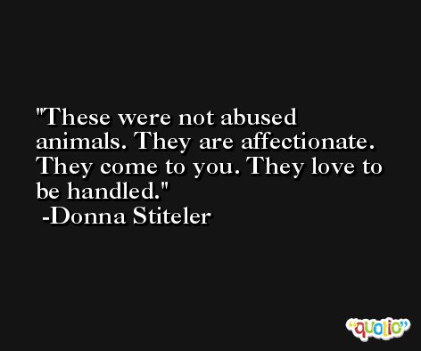 These were not abused animals. They are affectionate. They come to you. They love to be handled. -Donna Stiteler