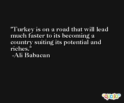 Turkey is on a road that will lead much faster to its becoming a country suiting its potential and riches. -Ali Babacan