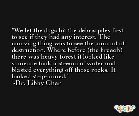 We let the dogs hit the debris piles first to see if they had any interest. The amazing thing was to see the amount of destruction. Where before (the breach) there was heavy forest it looked like someone took a stream of water and blasted everything off those rocks. It looked strip-mined. -Dr. Libby Char