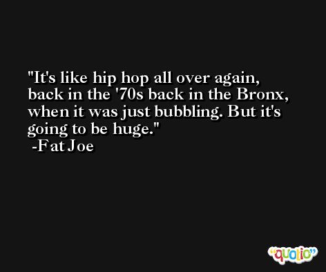 It's like hip hop all over again, back in the '70s back in the Bronx, when it was just bubbling. But it's going to be huge. -Fat Joe