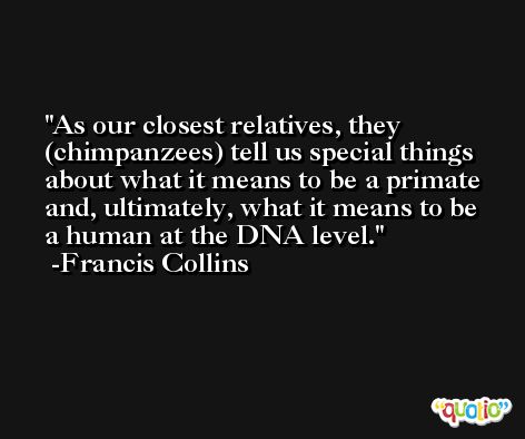 As our closest relatives, they (chimpanzees) tell us special things about what it means to be a primate and, ultimately, what it means to be a human at the DNA level. -Francis Collins