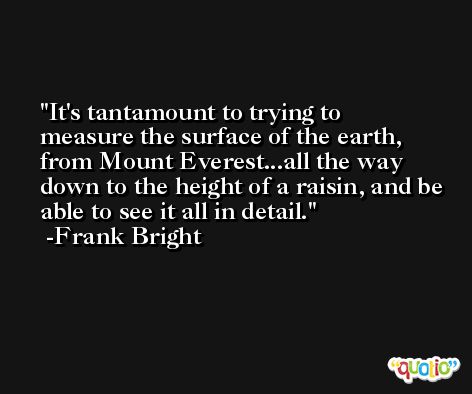 It's tantamount to trying to measure the surface of the earth, from Mount Everest...all the way down to the height of a raisin, and be able to see it all in detail. -Frank Bright