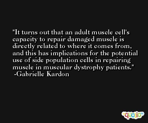 It turns out that an adult muscle cell's capacity to repair damaged muscle is directly related to where it comes from, and this has implications for the potential use of side population cells in repairing muscle in muscular dystrophy patients. -Gabrielle Kardon