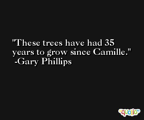 These trees have had 35 years to grow since Camille. -Gary Phillips