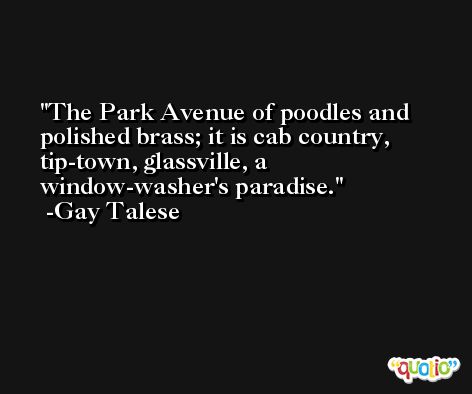 The Park Avenue of poodles and polished brass; it is cab country, tip-town, glassville, a window-washer's paradise. -Gay Talese