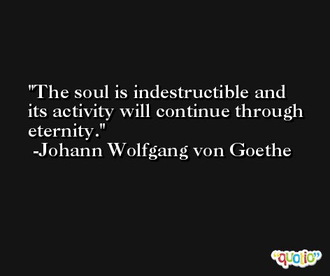 The soul is indestructible and its activity will continue through eternity. -Johann Wolfgang von Goethe