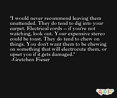 I would never recommend leaving them unattended. They do tend to dig into your carpet. Electrical cords -- if you're not watching, look out. Your expensive stereo could be toast. They do tend to chew on things. You don't want them to be chewing on something that will electrocute them, or upset you if it gets damaged. -Gretchen Fieser