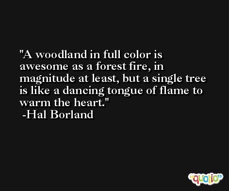 A woodland in full color is awesome as a forest fire, in magnitude at least, but a single tree is like a dancing tongue of flame to warm the heart. -Hal Borland