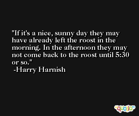 If it's a nice, sunny day they may have already left the roost in the morning. In the afternoon they may not come back to the roost until 5:30 or so. -Harry Harnish