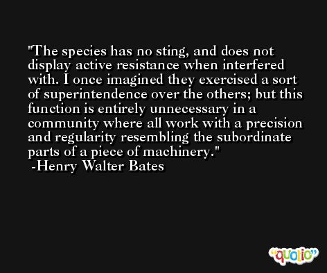 The species has no sting, and does not display active resistance when interfered with. I once imagined they exercised a sort of superintendence over the others; but this function is entirely unnecessary in a community where all work with a precision and regularity resembling the subordinate parts of a piece of machinery. -Henry Walter Bates