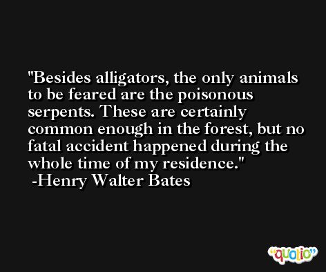 Besides alligators, the only animals to be feared are the poisonous serpents. These are certainly common enough in the forest, but no fatal accident happened during the whole time of my residence. -Henry Walter Bates