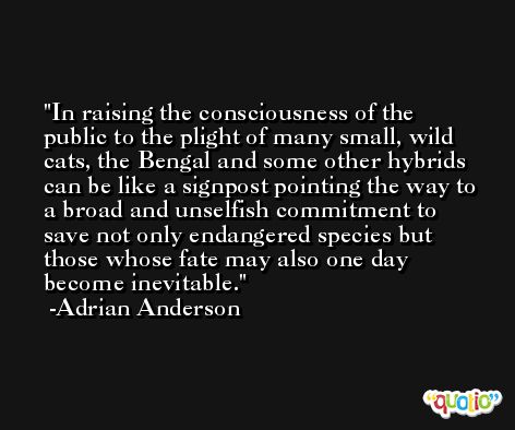 In raising the consciousness of the public to the plight of many small, wild cats, the Bengal and some other hybrids can be like a signpost pointing the way to a broad and unselfish commitment to save not only endangered species but those whose fate may also one day become inevitable. -Adrian Anderson