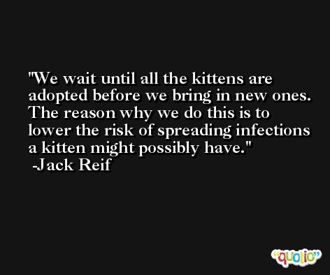 We wait until all the kittens are adopted before we bring in new ones. The reason why we do this is to lower the risk of spreading infections a kitten might possibly have. -Jack Reif