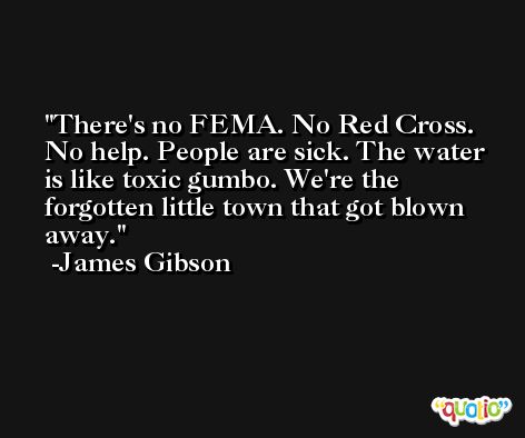 There's no FEMA. No Red Cross. No help. People are sick. The water is like toxic gumbo. We're the forgotten little town that got blown away. -James Gibson