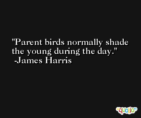 Parent birds normally shade the young during the day. -James Harris