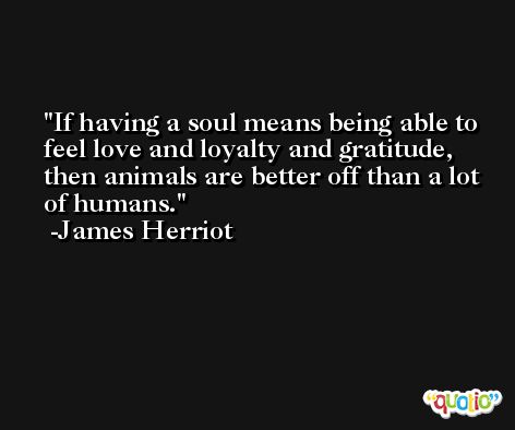 If having a soul means being able to feel love and loyalty and gratitude, then animals are better off than a lot of humans. -James Herriot